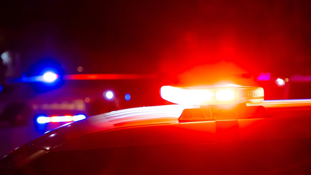 Driver killed in head-on collision with semi in central Minnesota — Roseville Sports news