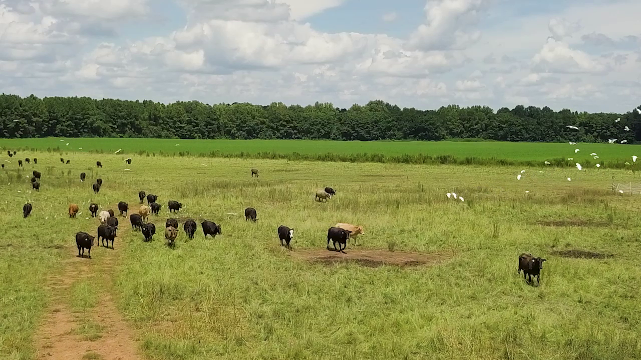5 ON YOUR SIDE: Regenerative agriculture — Roseville Health news