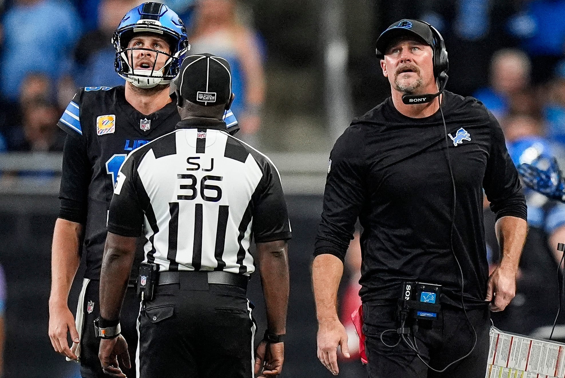 Ali Siddiqui’s Prediction for Vikings-Lions — Roseville Sports news